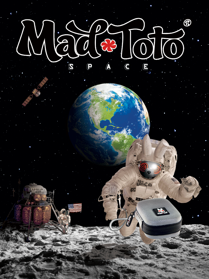 Mad Toto - Space Poster Animation
