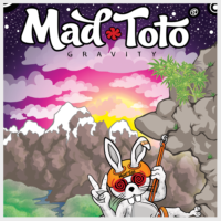 Mad Toto - Gravity Poster